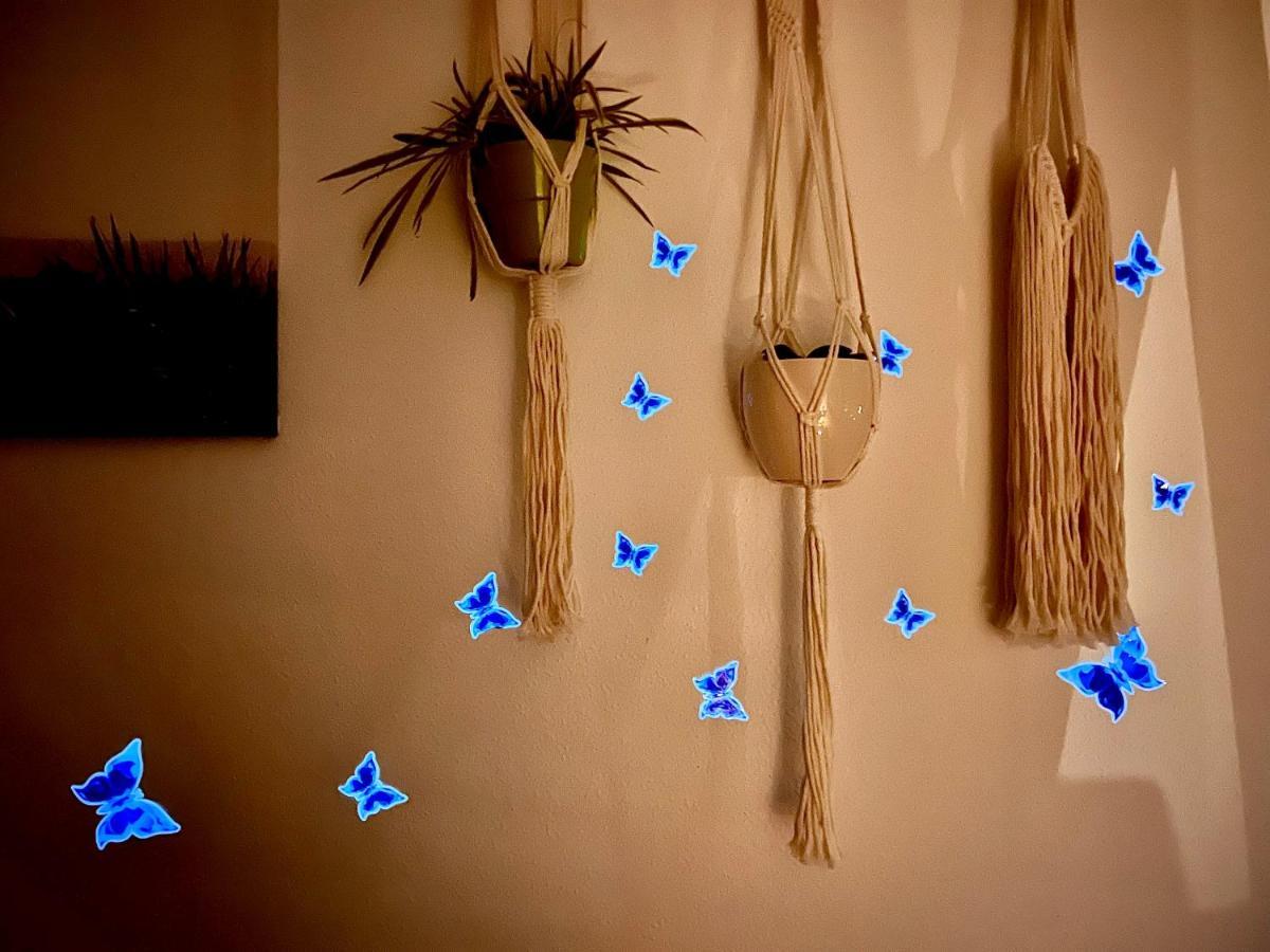 Stylish, Cozy & Quiet With One And Half In District 1 Apartment Dusseldorf