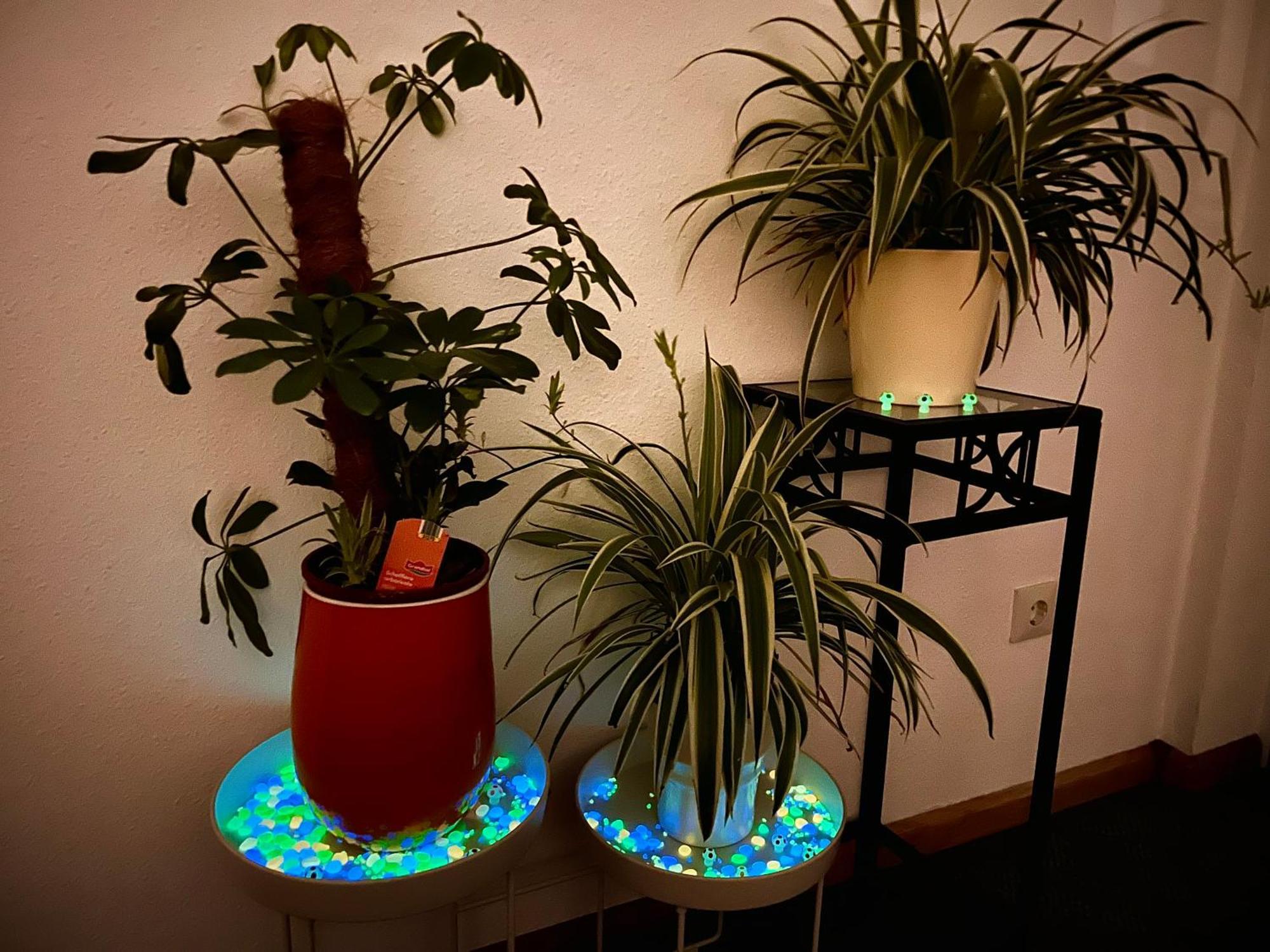 Apartment Stylish, Cozy & Quiet With One And Half In District 1